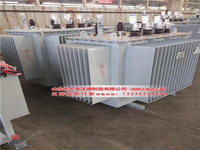 S20油浸式变压器现货定制批发销售 S20油浸式变压器现货定制批发销售